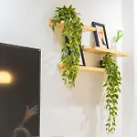 Spacious 1Br Studio Private Balcony & Cozy Netflix